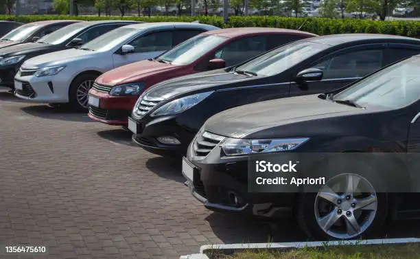 istockphoto 1356475610 612x612